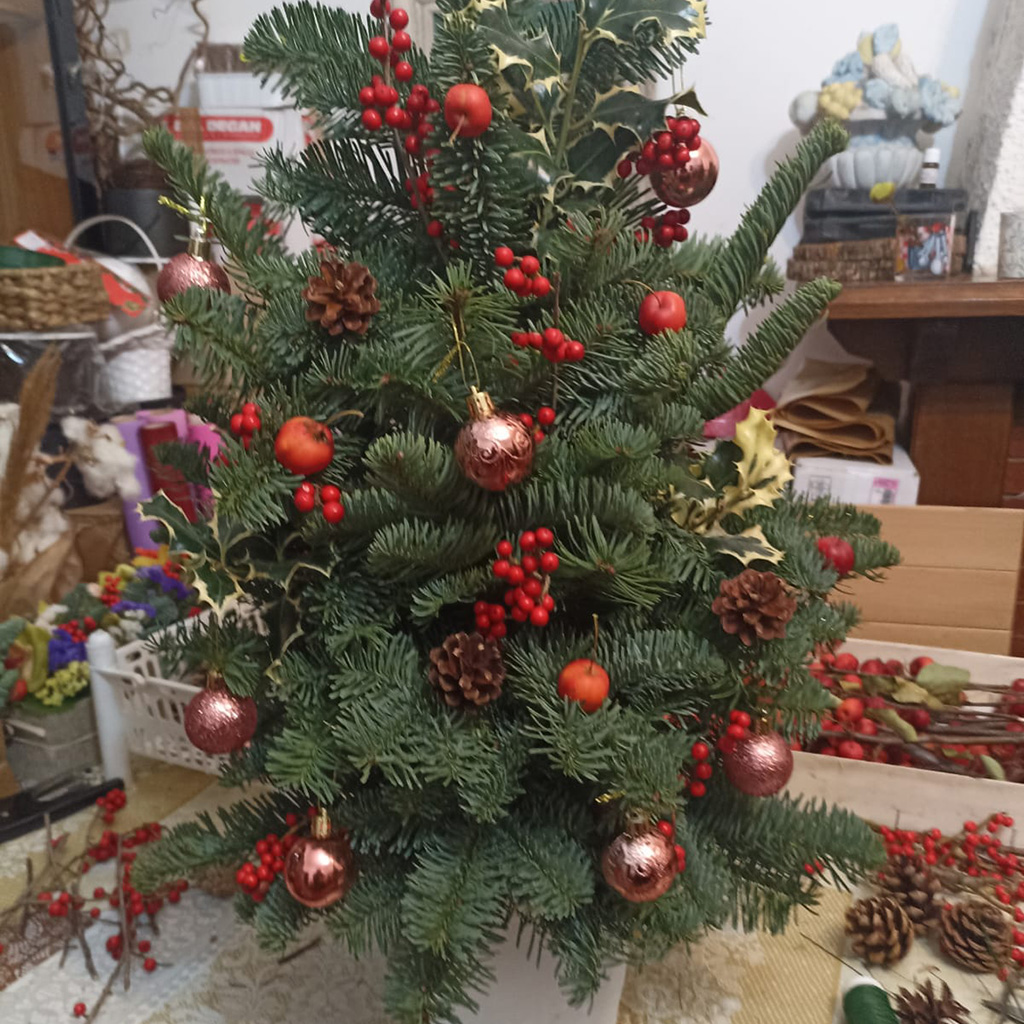 Composizioni floreali Natale, il regalo originale e naturale